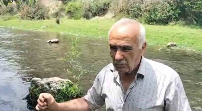 Osmaniye’deki Sabun Çayı’nda Balık Ölümleri