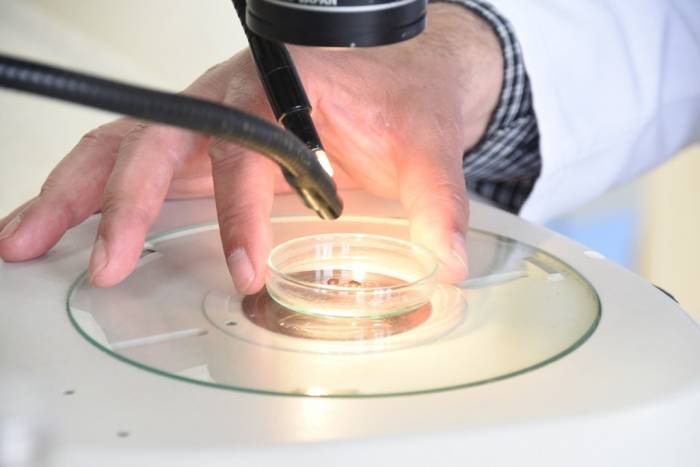 Her Mevsimde Yaşayabilen Keneler En Çok Bu İllerde Tehlike Saçıyor