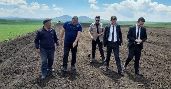 Selim’de Yağlık Ayçiçeği Ekilmeye Başladı