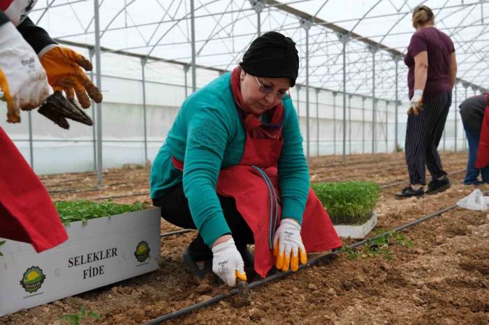 Kadın Eli Toprağa Değdi