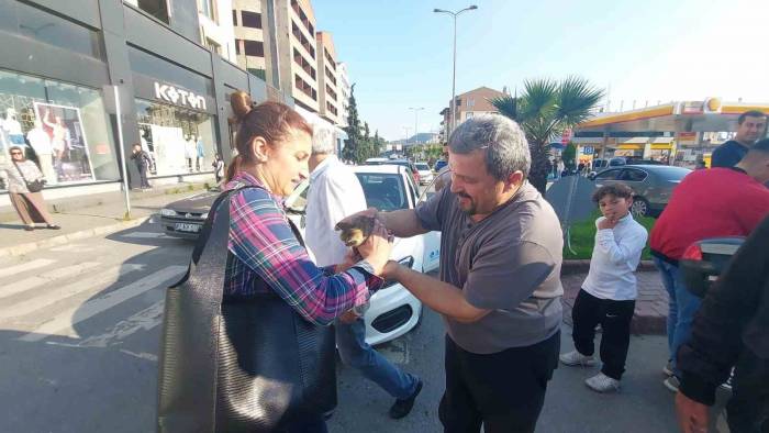 Motora Sıkışan Kedi İçin Seferber Oldular