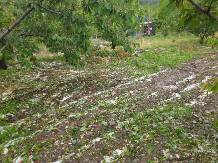 Kuraklıktan Endişe Eden Çiftçiyi Dolu Ve Yağışlar Vurdu