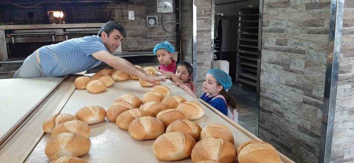 Minik Öğrenciler Ekmeğin Yapılışını Öğrendiler