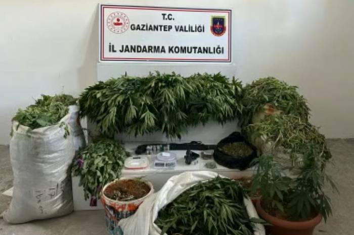 Jandarmadan Dev Uyuşturucu Operasyonu: 23 Bin 770 Kök Haşhaş Ele Geçirildi