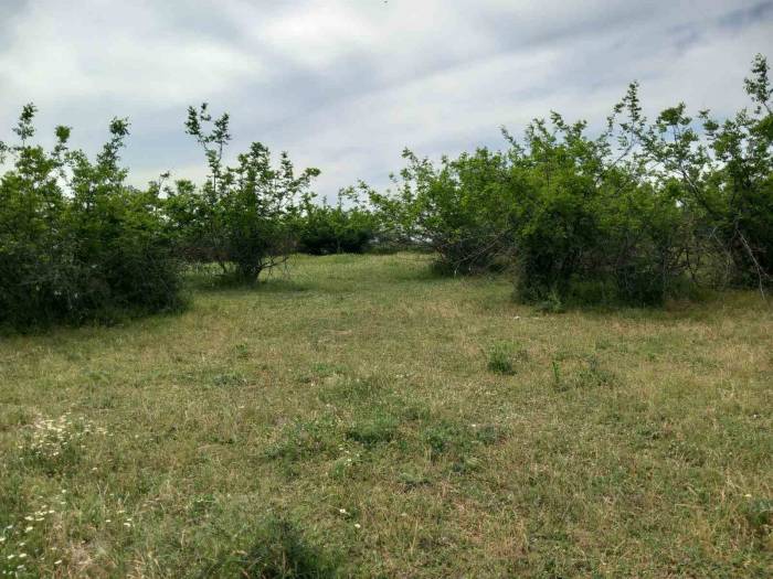 Kırklareli’ndeki Dehşet Olayla İlgili 2 Şüpheli Yakalandı