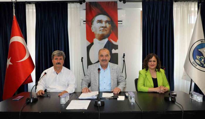 Çağrışan, Göynüklü Ve Bademli Köy İçi İmar Planları Onaylandı
