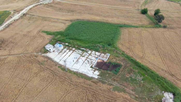 Adana’da 35 Yıl Önce Tarlada Açılan Kuyuda Bulunan Petrol ’yok’ Denilerek Kapatılmış