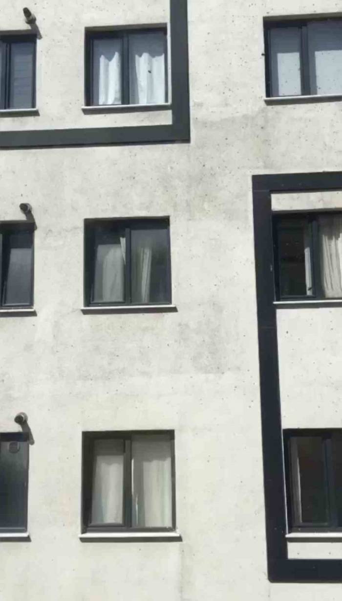 Kağıthane’de Toplu Arı Paniği Kamerada: Vatandaşlar Pencereleri Açamadı