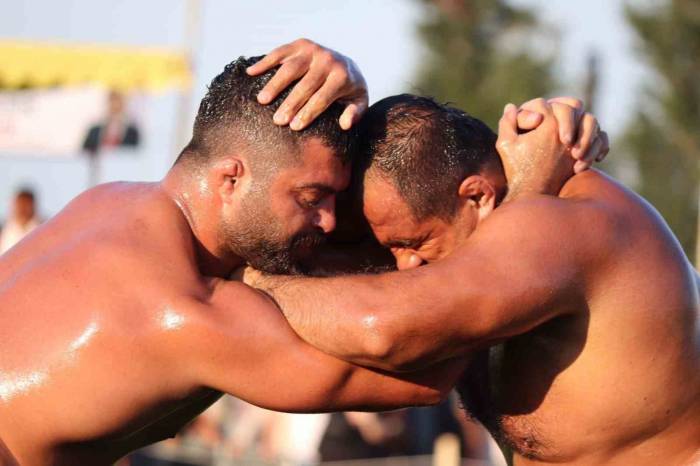 Kavasoğlu Ve Şamdancıbaşı İbrahim Yağlı Güreşleri Başpehlivanı Mustafa Batu Oldu