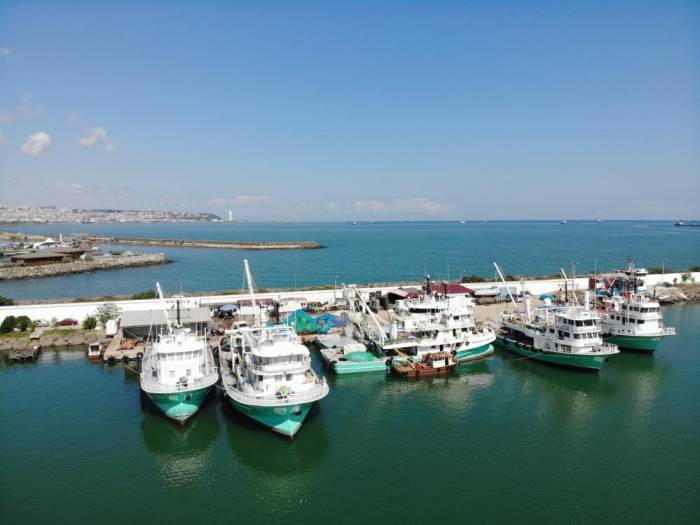 Hayvansal Ürün İhracatıyla Milyonlarca Döviz Türkiye’ye Girdi