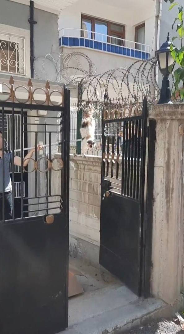 Elazığ’da Tellere Sıkışan Kedi İtfaiye Tarafından Kurtarıldı