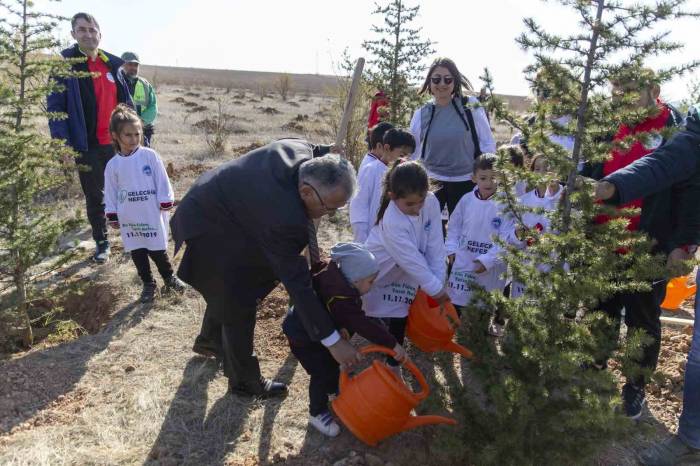 Kayseri Büyükşehir’den Mesire Alanı, Yol Ve Refüjlere 15 Bin, İlçelere 225 Bin Fidan