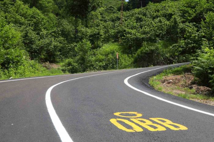 Ordu’da Ulaşımda Konfor