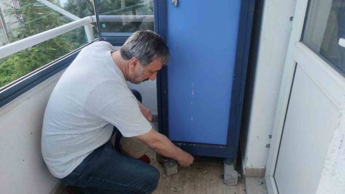 Güvercinin Yuva Yaptığı Balkonu Kullanmayı Bıraktı