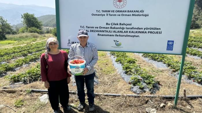 Çiftçiler Devlet Destekli Çilek Bahçesi Kurup Üretime Geçti
