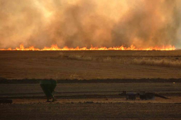 Tekin: “anız Yakmak Hem Çevre Hem De Toprak İçin Zararlı”