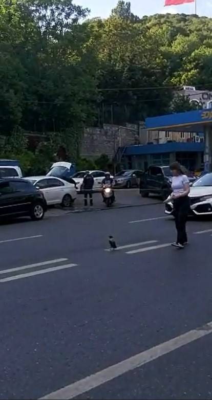 Trafiği Durdurup Yardım Etmek İstedi, Karganın Saldırısına Uğradı: O Anlar Kamerada