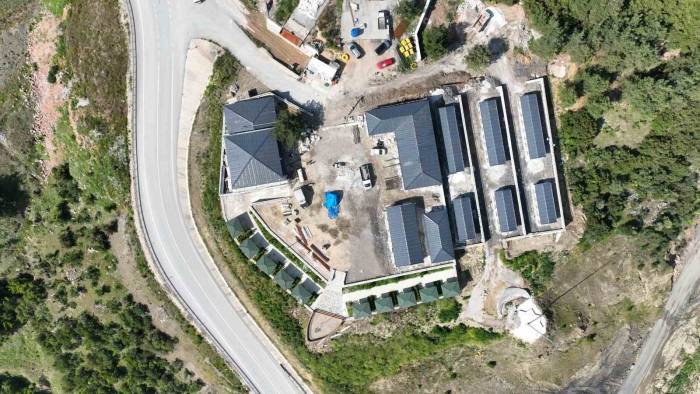 Ödüllü Hayvan Dostu Projesi Gün Sayıyor