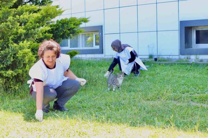 Kırklareli’nde Sağlık Çalışanları Çevre Temizliği Yaptı