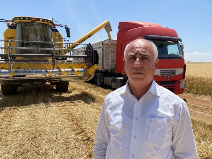 Adıyaman’da Hububat Hasadı Başladı