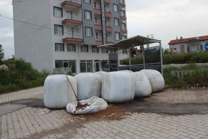 Afyonkarahisar’ın Mezrayı Hatırlatan 6 Bin Nüfuslu Mahallesi