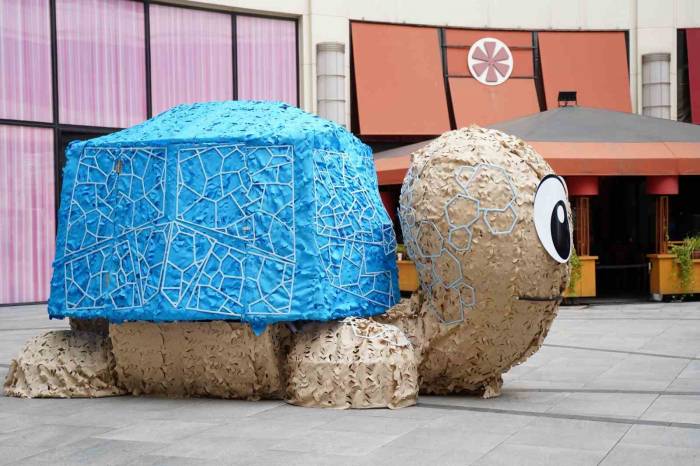 ‘pet Avcısı Kaplumbağa’ Projesi İle Geri Dönüşüme Katkı Sağlanacak