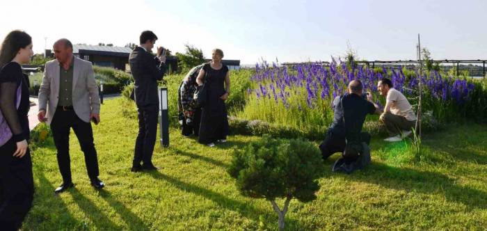 Ressamlar, Hersek Bölgesine Hayran Kaldılar