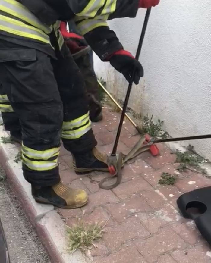 Konya’da Otomobilden 1,5 Metrelik Yılan Çıktı