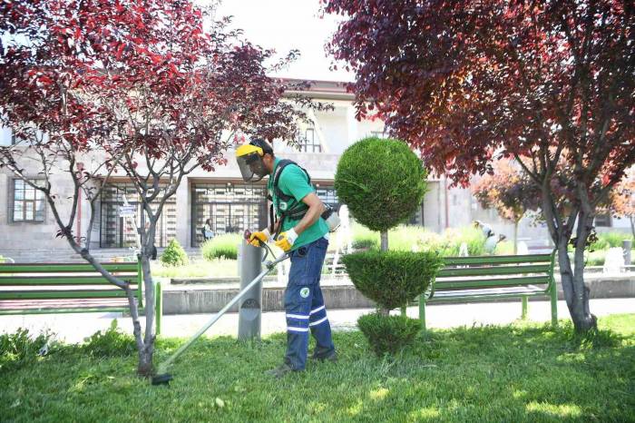 Mamak Yaza Hazırlanıyor