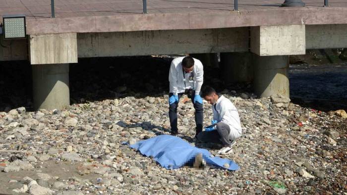 Ordu’da Deniz Kenarında Erkek Cesedi Bulundu