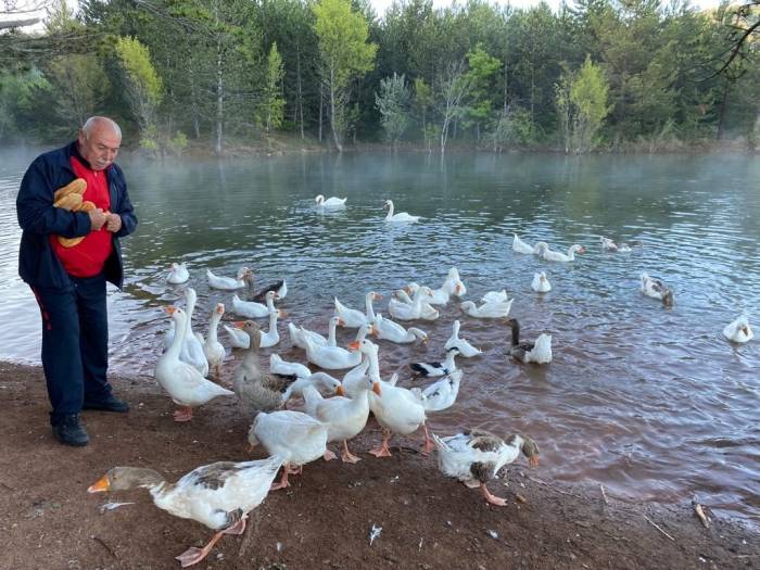 Hayvanları Beslemeden Spora Başlamıyor