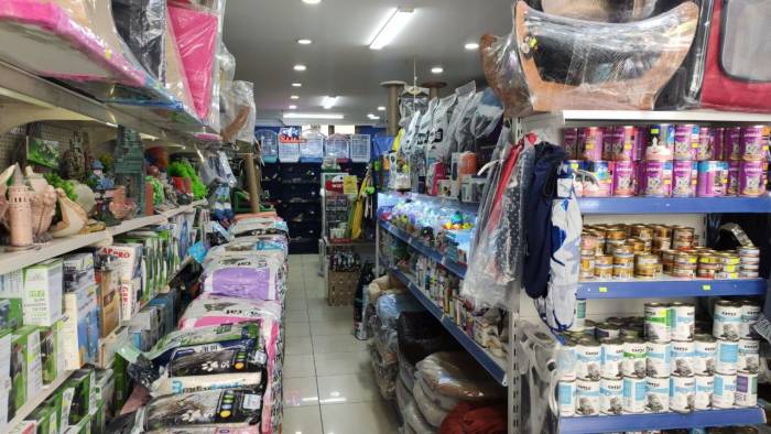 Sultangazi’de Hırsızlar Petshoptan Çaldıkları Kuşları Montun Cebine Sakladı: O Anlar Kamerada