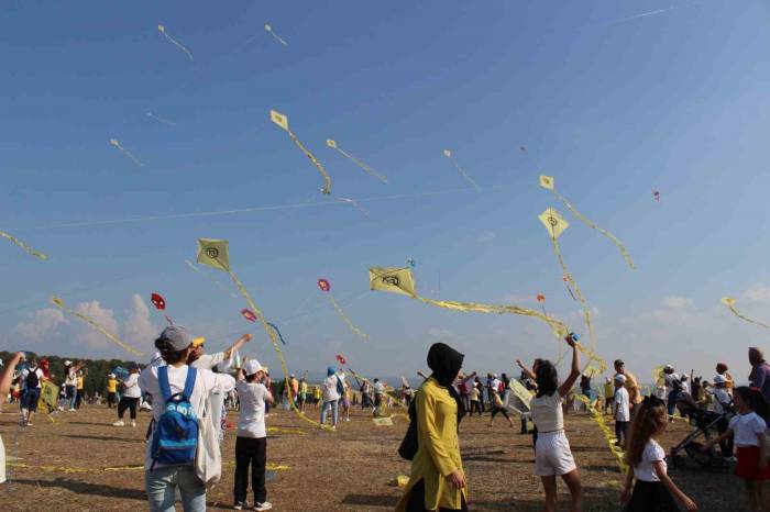 Bergama’nın Unesco Yıldönümü, Uçurtmalarla Kutlandı