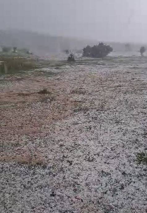Tokat’ta Meyve Ağaçları Ve Ekili Arazileri Dolu Vurdu