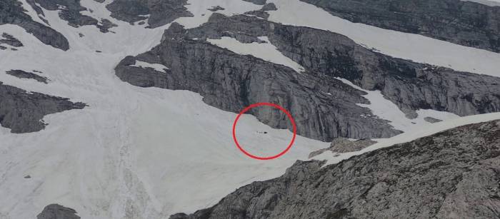 Uludağ’ın Zirvesinde Ayıların İzinde