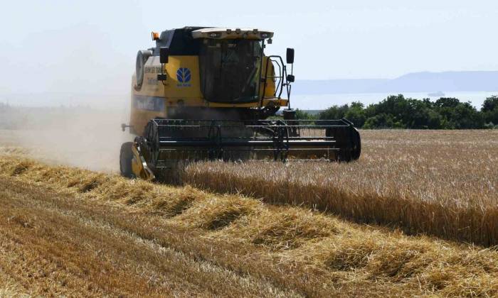 Çanakkale’de Arpa Hasadı Başladı
