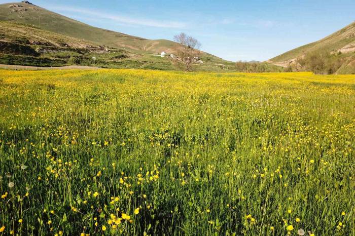 Bu Manzarayı Görebilmek İçin 10 Gün Kaldı