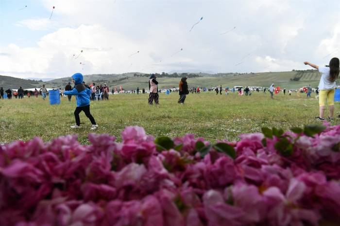 Sorkuncak Köyünde 6. Gül Hasadı Ve Uçurtma Şenliği