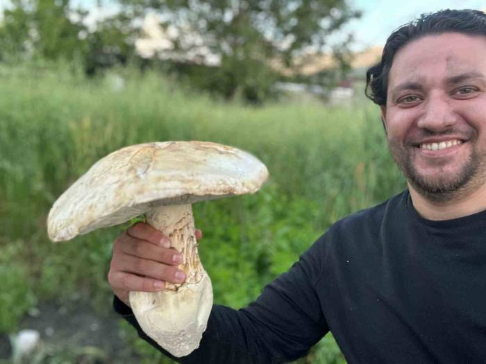 Burdur’da 2 Kiloluk Dev Mantar Görenleri Şaşırttı