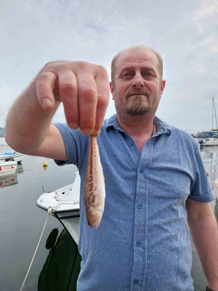 Zonguldaklı Balıkçıların Ağına Zehirli Trakonya Takıldı