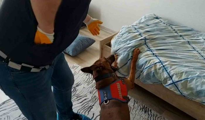 Yatak Altından Uyuşturucu Çıktı
