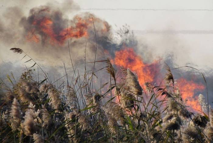 Aydınlı Çiftçiler Anız Yakımına Karşı Uyarıldı