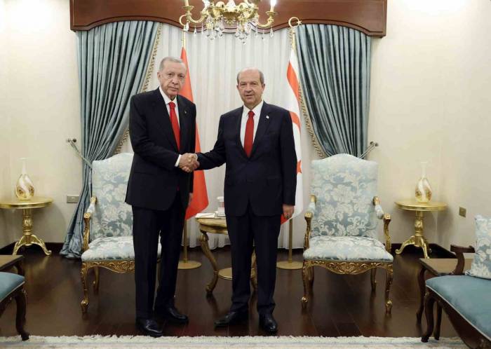 Cumhurbaşkanı Erdoğan, Tatar İle Baş Başa Görüştü