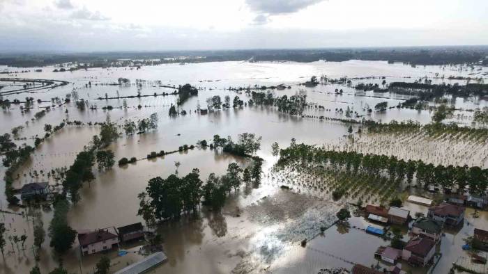 Tzob’dan Sel Bölgesinde İnceleme