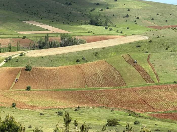 Çamoluk İlçesinde Atıl Araziler Tarıma Kazandırılıyor