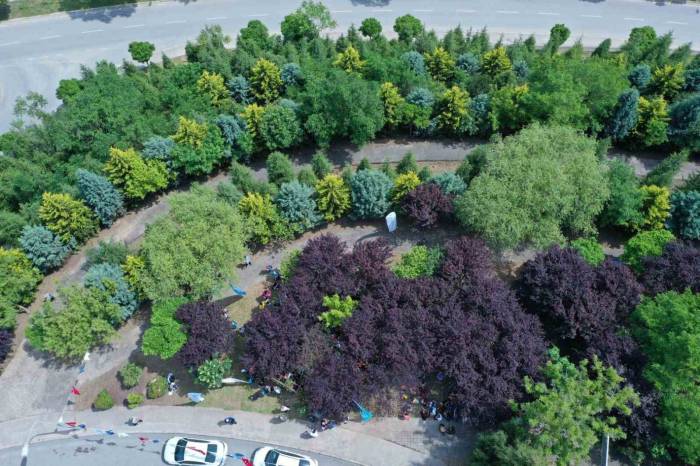 Kocaeli’de Kişi Başına Düşen Yeşil Alan 13,5 Metrekareye Çıktı