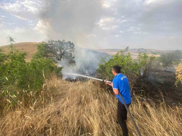 Siirt’te 65 Dönüm Buğday Kül Oldu