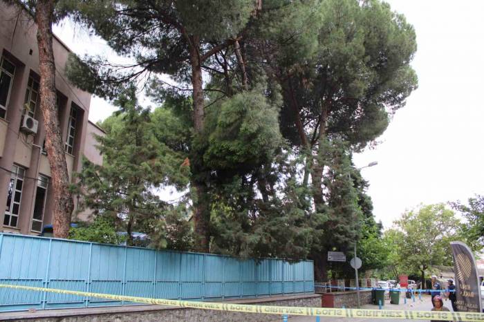 Rüzgarla Kopan Ağaç Dalı Ekipleri Harekete Geçirdi