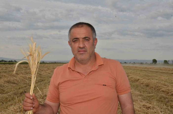 Depremzede Çiftçilerin Devlet Desteği İle Ektikleri Yem Bitkisi Hasadı Başladı