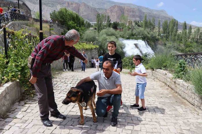 Tortum Şelalesi’nin Güvenliğinden K9 Duman Sorumlu